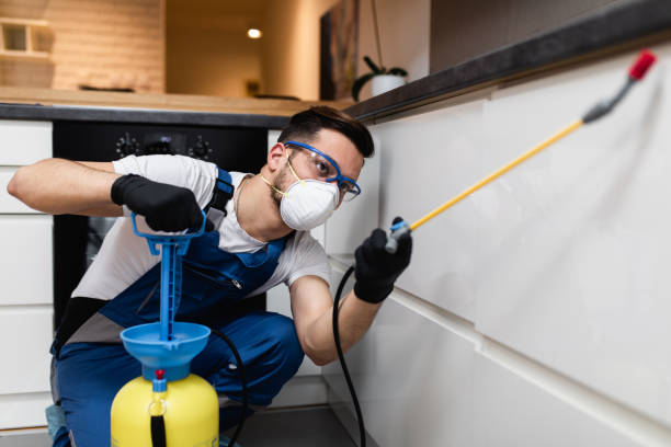 Best Cockroach Control Services  in Kalkaska, MI