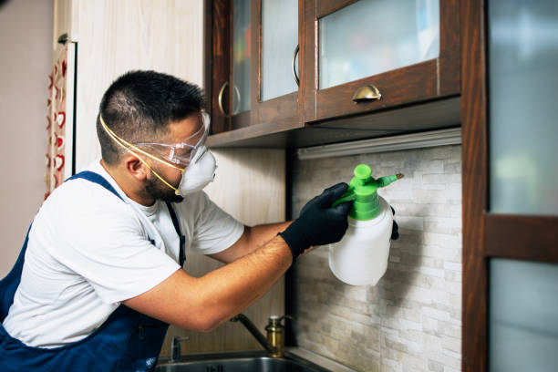 Best Termite Control Services  in Kalkaska, MI