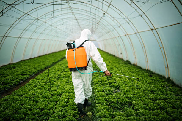 Best Best Pest Control Near Me  in Kalkaska, MI