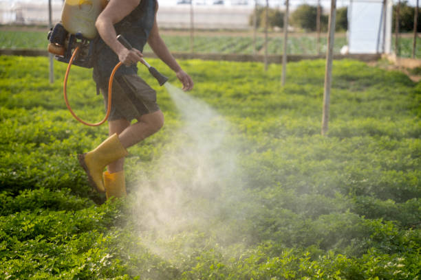 Best Mosquito Control Services  in Kalkaska, MI