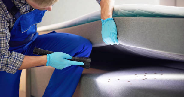 Best Ant Control Services  in Kalkaska, MI